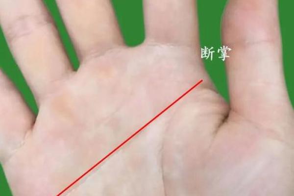 女人双手断掌纹的命运解析，揭开神秘面纱！