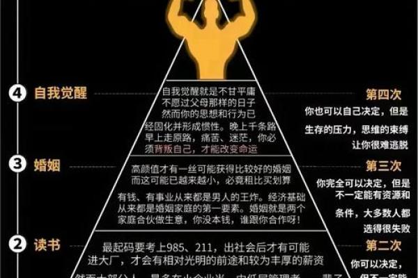 67年出生的命运，解析其属性与人生轨迹的奥秘