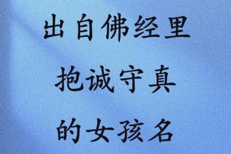 申命记：信仰与生活的指南，从历史中汲取智慧