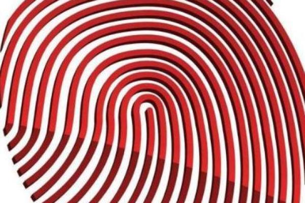 通过指纹测命的软件,你真的了解自己的命运吗? 通过指纹测命的软件,你真的了解自己的命运吗?