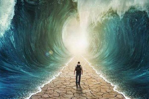 命运与选择：在生活的交叉路口探寻自我真谛