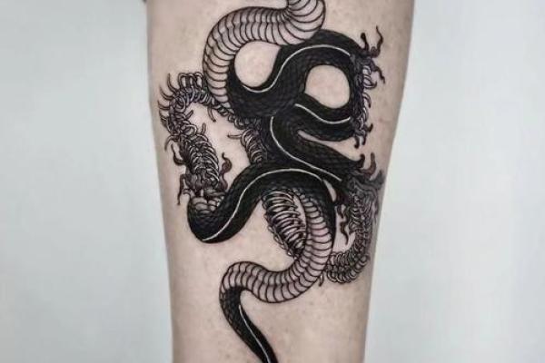 什么样的人适合纹蛇？揭秘纹身与个性的深层联系！