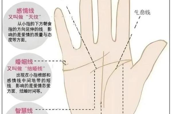 手相双全命的魅力与解读：揭示你内心的独特故事