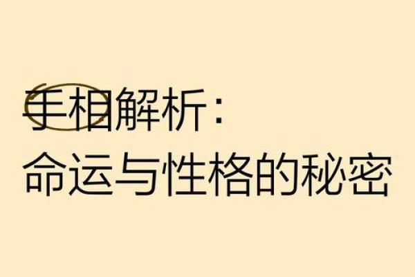 手相双全命的魅力与解读：揭示你内心的独特故事