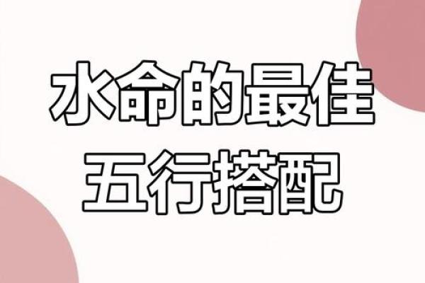 属水命的你，适合有哪些职业方向？探寻最优选择！