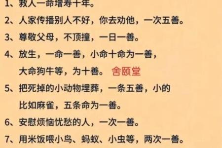 平安一命还一命：生活中的守护与轮回哲学