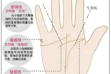 手相双全命的魅力与解读：揭示你内心的独特故事