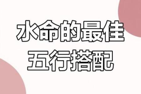 属水命的你，适合有哪些职业方向？探寻最优选择！