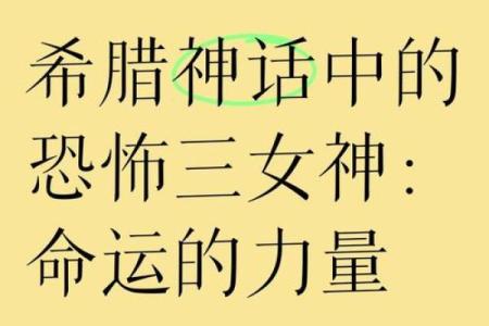 三台星入命：揭示女性命运与智慧的奥秘