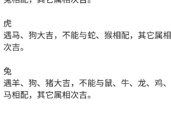 如何通过生辰八字判断老鼠的命运与属相特征