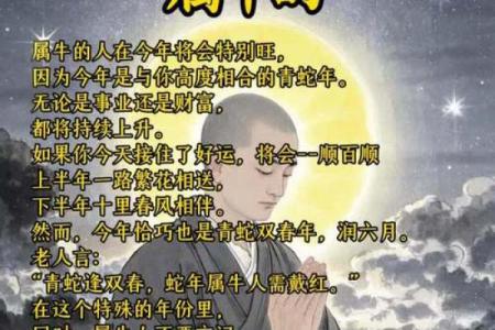 1913年属牛之人的命运解析与人生智慧