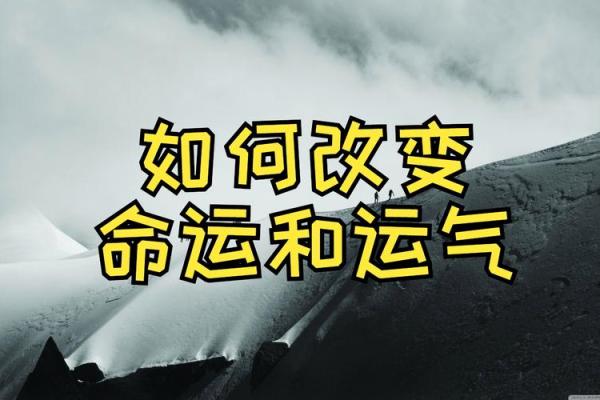 1956年出生的人：命运与运势的深刻探讨