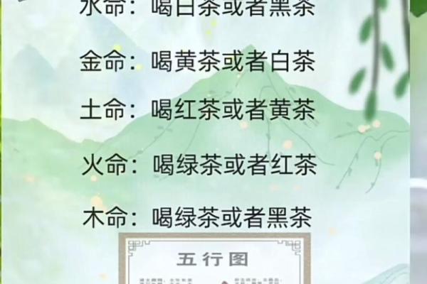 如何通过五行理论判断你是水命还是火命？