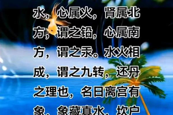 什么命的人最适合悟道：探寻内心的智慧与境界