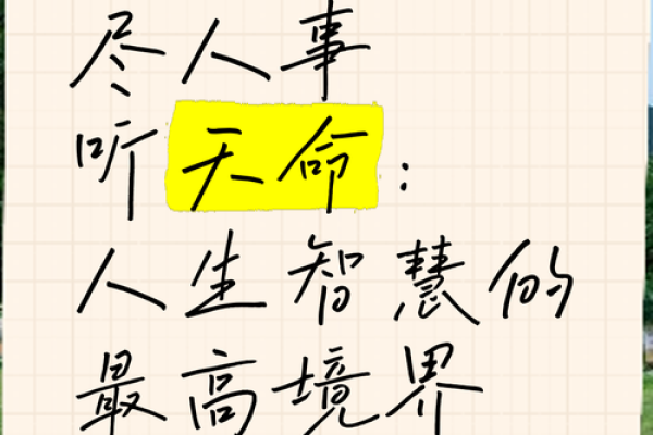 什么命的人最适合悟道：探寻内心的智慧与境界