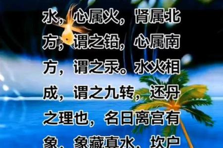什么命的人最适合悟道：探寻内心的智慧与境界