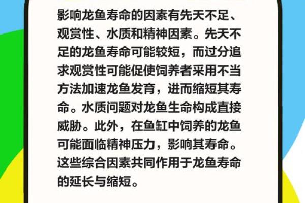 什么命的人能养鱼？揭开水中生灵的命理之谜！