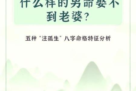 1941年属什么命？揭秘其命理与个性特征！