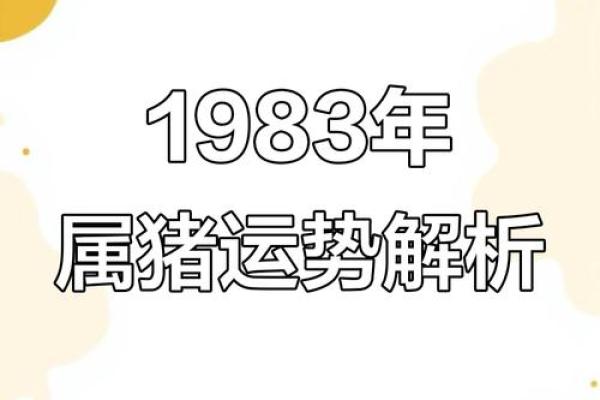 属猪木命人最怕的命理特征解析与应对建议
