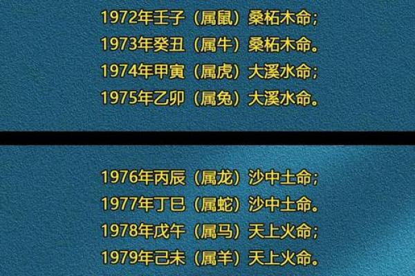 山头火命：掌握数字背后的力量与命运