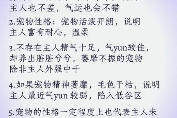 沙中土命与最适合的宠物选择，探索个性化养宠之道！