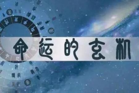 女人的横财命：揭秘财富背后的命理秘密