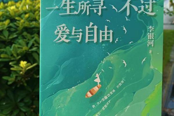 漂泊之旅：在心灵深处寻找归属感与自由