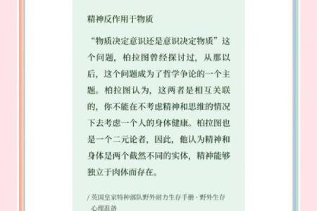 深入探索：丙辰沙中土命的奥秘与人生启示