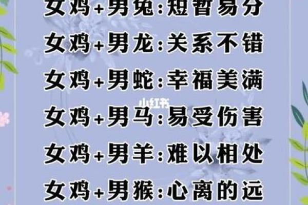 什么命格的老公最理想？揭示理想配偶的秘密