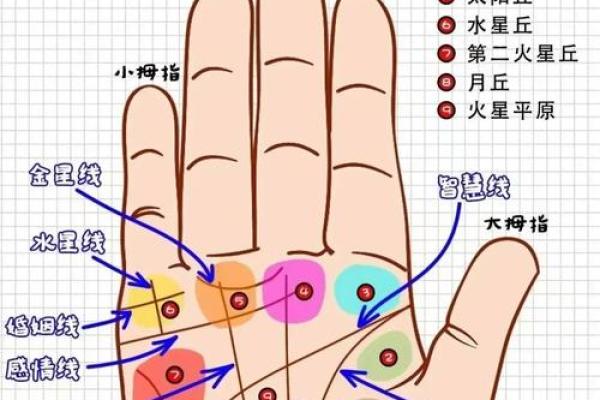 手相揭秘：怎样的手相能决定你是状元命格？