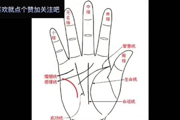 手相揭秘：怎样的手相能决定你是状元命格？