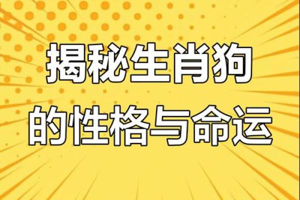 生肖狗的性格与命运解析：忠诚与智慧的象征