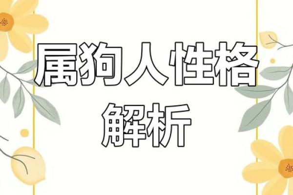生肖狗的性格与命运解析：忠诚与智慧的象征