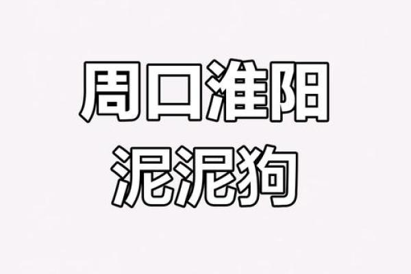 探秘1982年狗年：了解你的命运与性格特征！