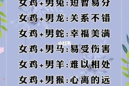 什么命格的老公最理想？揭示理想配偶的秘密
