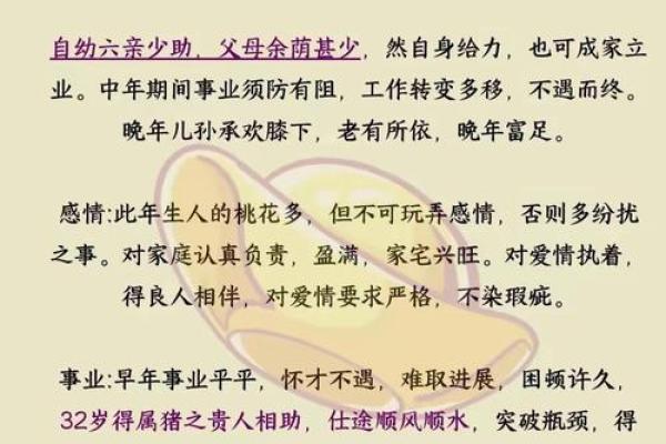 鼠年命理解析：如何在2023年把握自己的命运与机遇