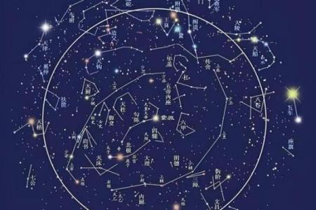 什么样的命格适合从事画画艺术？探寻命理与创作的微妙关系