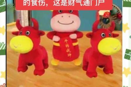 什么是比较富贵的命？探寻生命中的财富密码