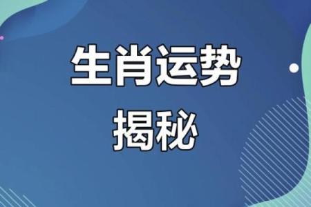 深入解析：什么生肖男命最旺妈，了解你的运势与关系！
