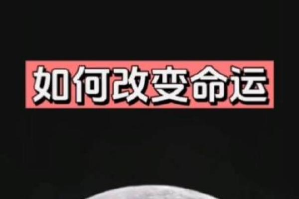深度解析“命也是命”：命运的哲学思考与人生启示