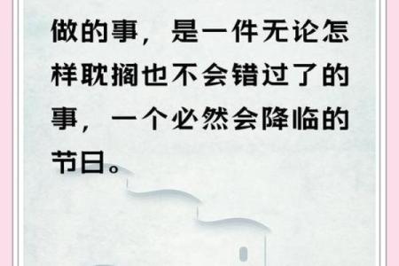 深度解析“命也是命”：命运的哲学思考与人生启示