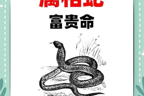 1988年属蛇的人:智慧与魅力的结合,开启精彩人生之旅! 1988年属蛇的人:智慧与魅力的结合,开启精彩人生之旅!