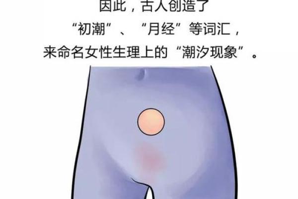 揭秘最佳财运女命的五大特征与命理解析 揭秘最佳财运女命的五大特征与命理解析