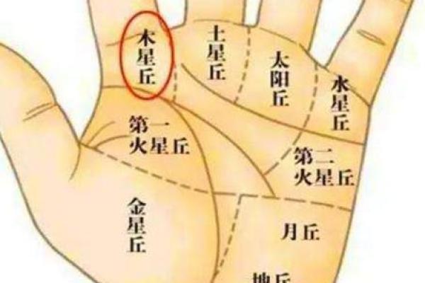 偏印格女命：独特魅力与智慧的象征