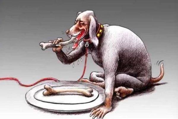 生来奴才命：解读“奴才”在动物界的象征意义