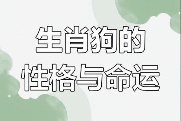 属狗的1946年女性命运分析与生活智慧