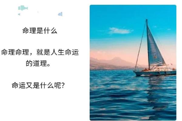 生日尾数是12的命运之谜：解读神秘的数字与命理