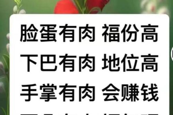 如何判断一个男人的命运是否苦命?透视命理与人生选择 如何判断一个男人的命运是否苦命?透视命理与人生选择