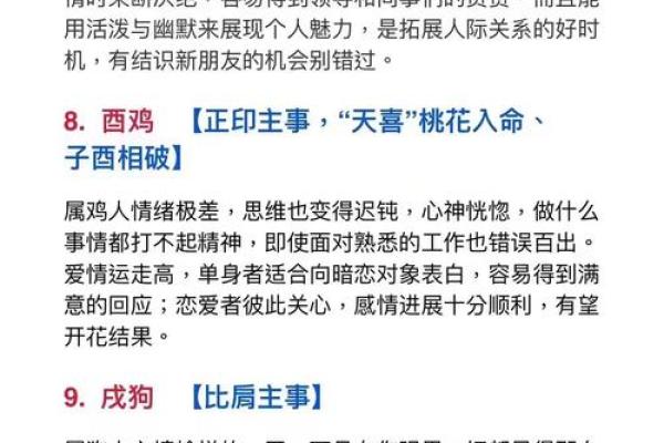 男女生肖解析：从命理看你的命运与性格