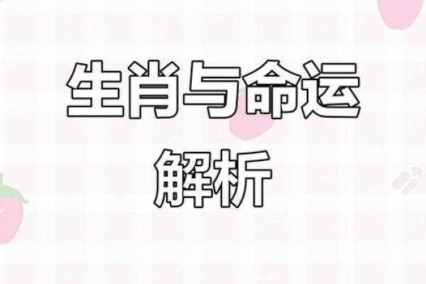 男女生肖解析：从命理看你的命运与性格